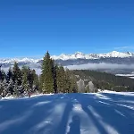 Javor Pod Tatrami 스비트
