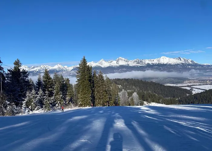 Javor Pod Tatrami Svit